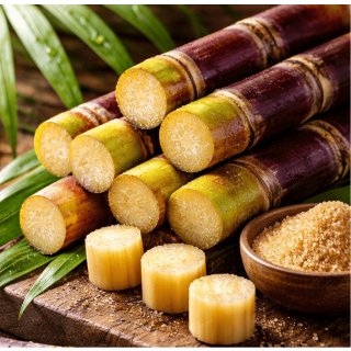 Bio Zuckerrohr 1000g