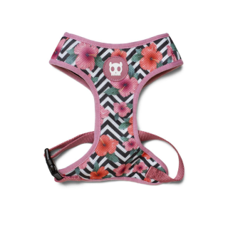 Mesh Harness