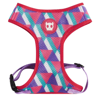 Mesh Harness