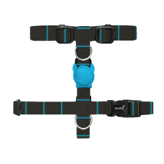 H Harness