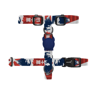 H Harness