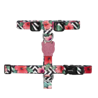 H Harness