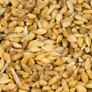 Seidenhühnerfutter 5kg