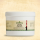 Naturaveta®l Canis Extra Algenkalk 150g