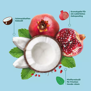 WOW Natural Dentals Maxii