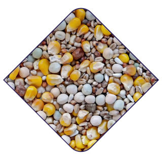 Witte Molen Base 4-Jahreszeiten Taubenfutter 20kg