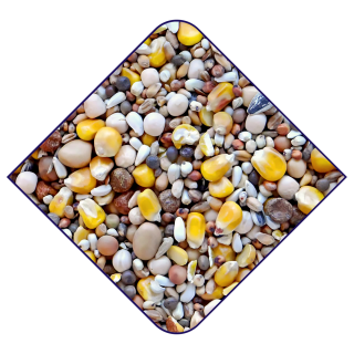 Witte Molen Taubenfutter Base Zucht Gelb 20kg