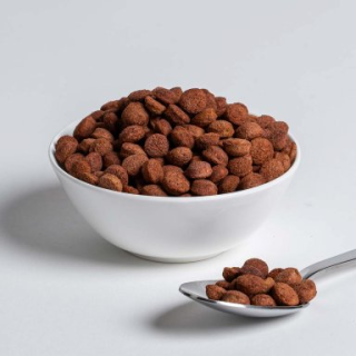 Wisbroek Parrot Fruit Blend Daily Large