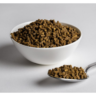 Wisbroek Insect Eater Diet