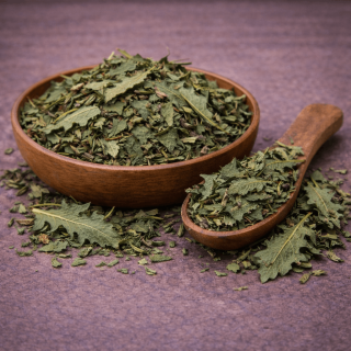 Löwenzahnblätter Deluxe